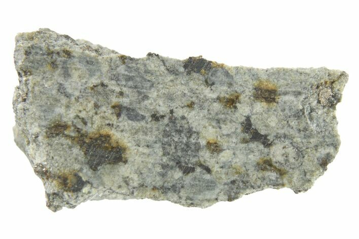 Worden Chondrite Meteorite Slice - Michigan #265981